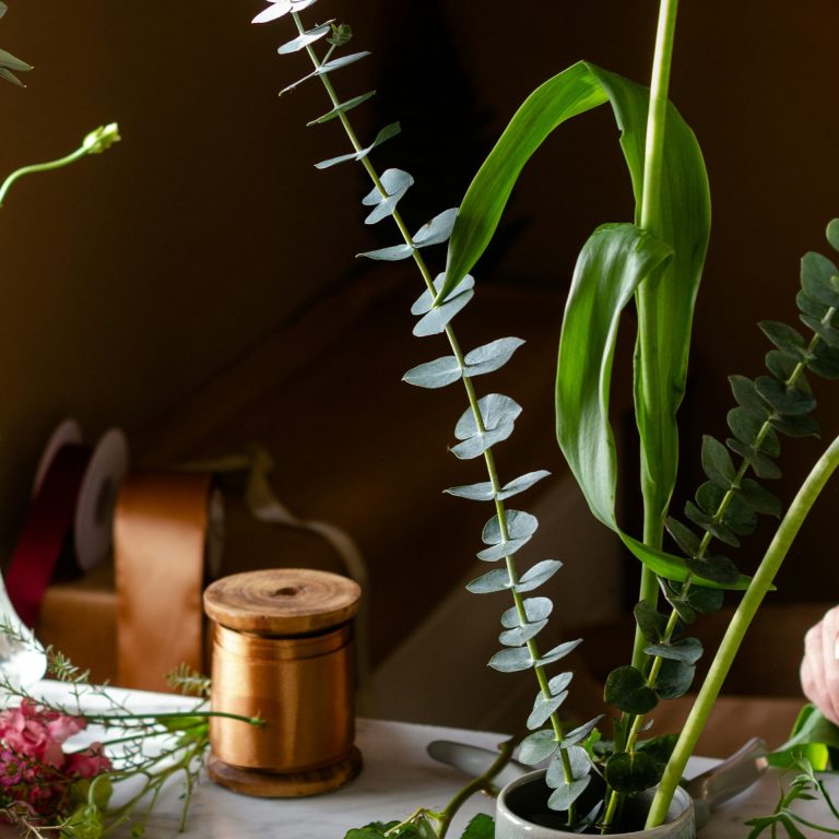 Blumen kaufen in Rüsselsheim, Blumenladen Blumengeschäft, Blumensträuße, individuelle Floristik, Hochzeiten, Geburtstag, besondere Anlässe